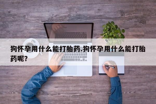 打胎药的微信联系方式狗怀孕用什么能打胎药.狗怀孕用什么能打胎药呢？