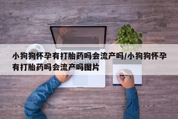 打胎药的微信联系方式小狗狗怀孕有打胎药吗会流产吗/小狗狗怀孕有打胎药吗会流产吗图片
