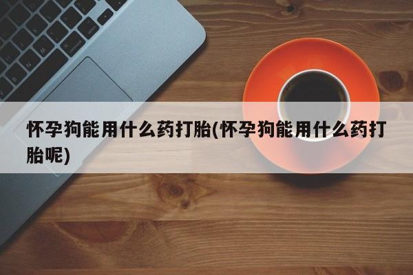 admin 第4页
